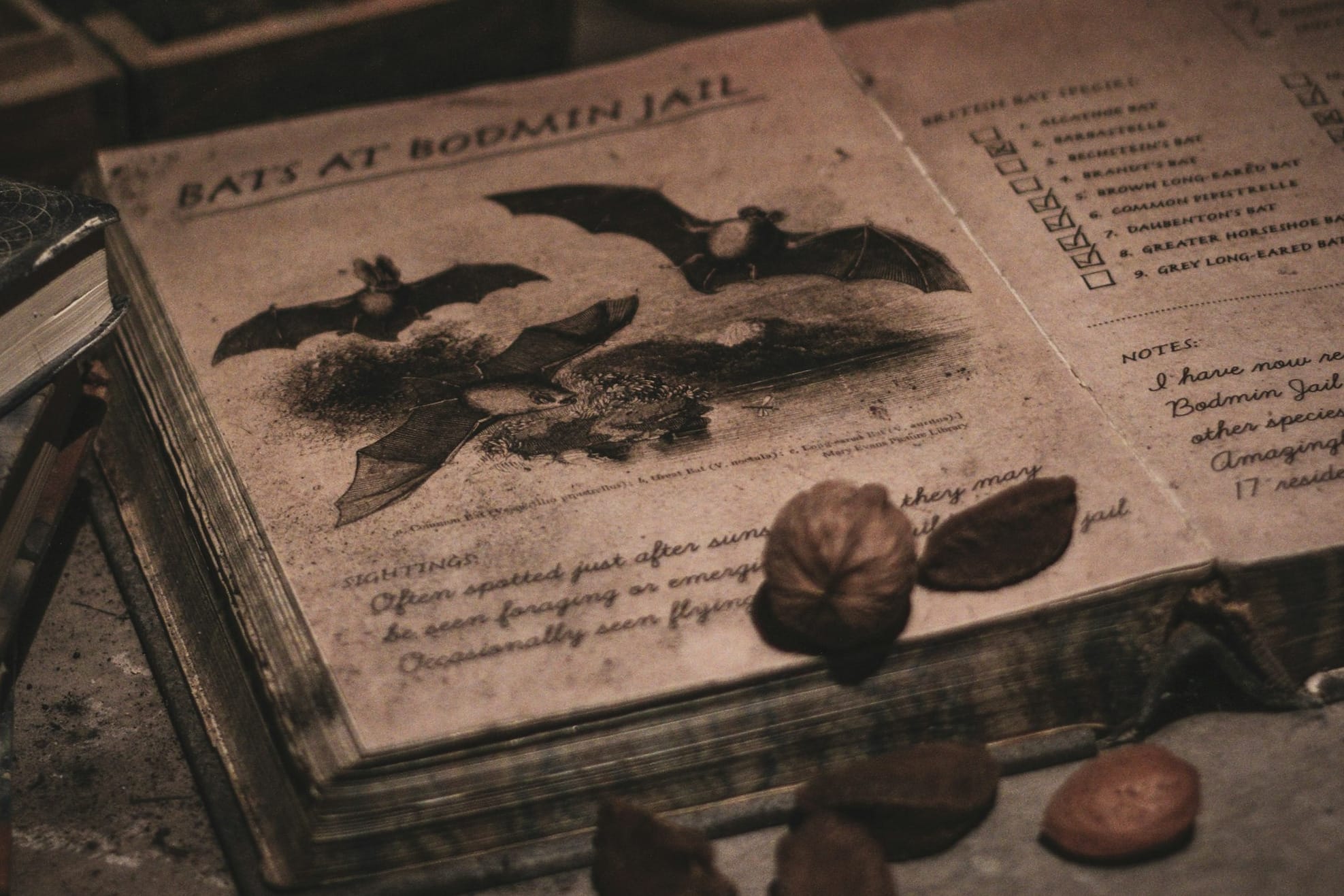 Out now: NOTHING EVER HAPPENS