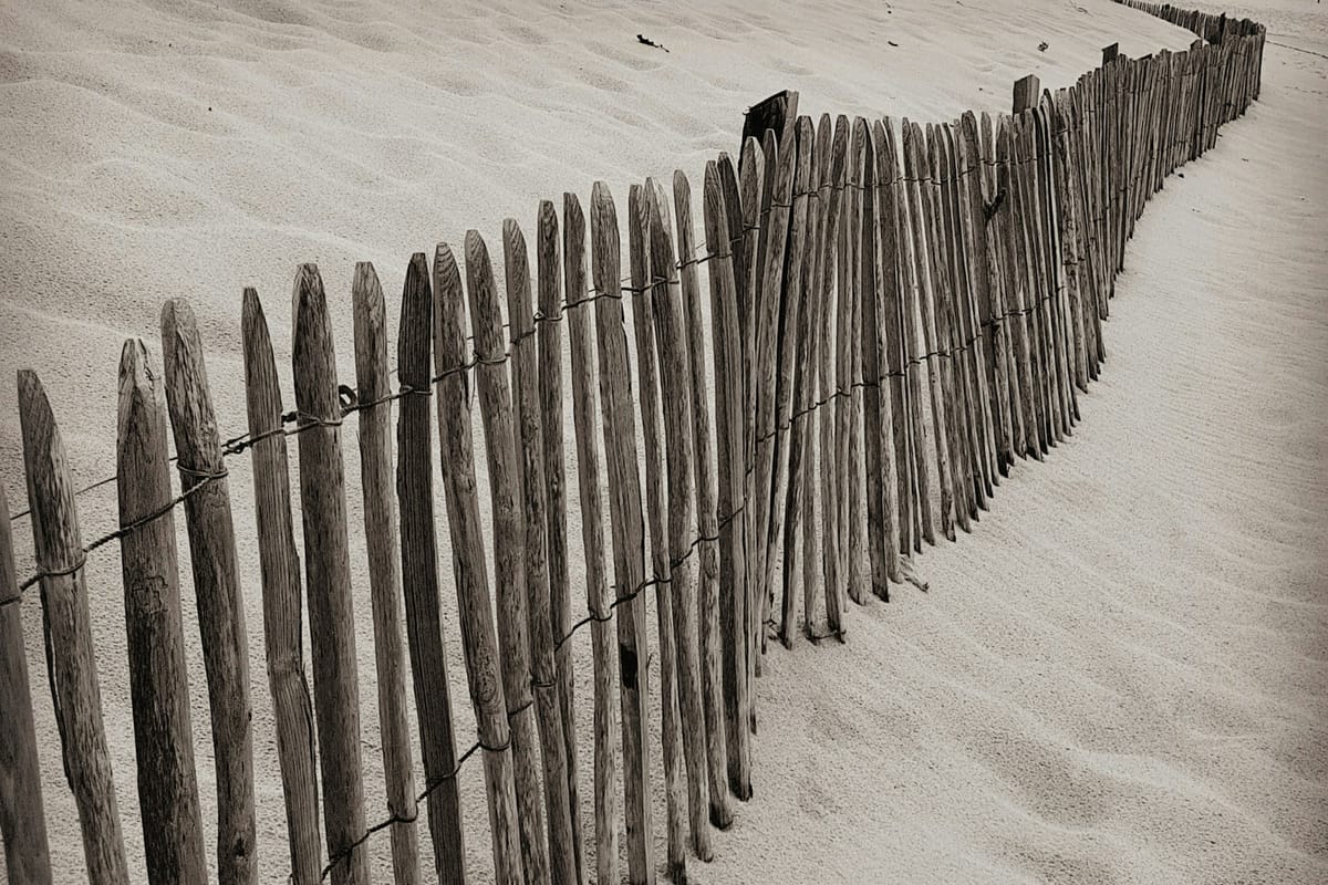 Flash!Mob Jan25: A LINE IN THE SAND