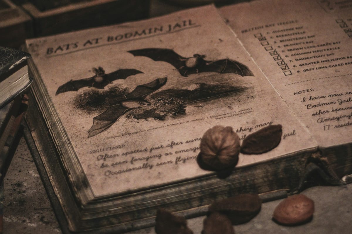 Out now: NOTHING EVER HAPPENS