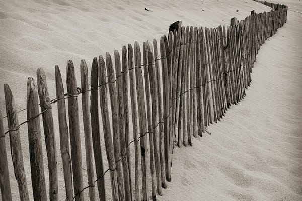 Flash!Mob Jan25: A LINE IN THE SAND