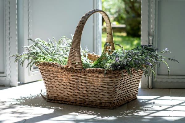 Harvey baskets explained