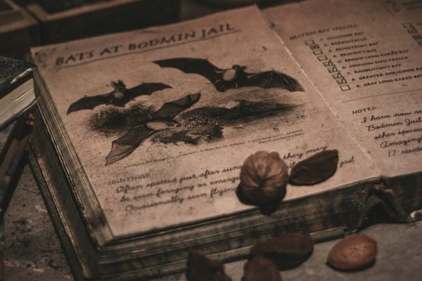 Out now: NOTHING EVER HAPPENS